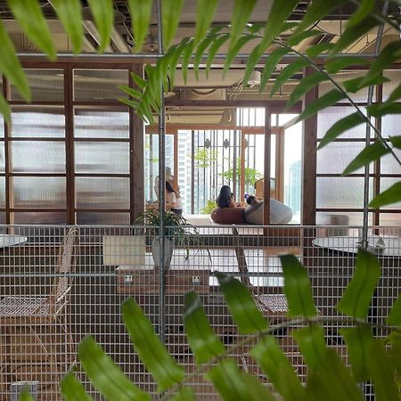 Star Hostel Taichung Parklane Exterior photo